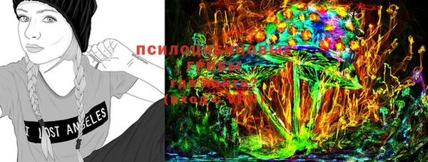 ПСИЛОЦИБИНОВЫЕ ГРИБЫ Коряжма