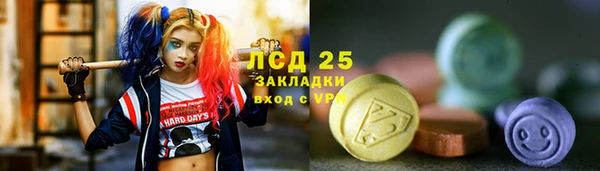 ПСИЛОЦИБИНОВЫЕ ГРИБЫ Коряжма