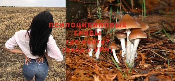 ПСИЛОЦИБИНОВЫЕ ГРИБЫ Коряжма