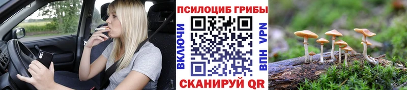 Галлюциногенные грибы Cubensis Купить закладки Беломорск